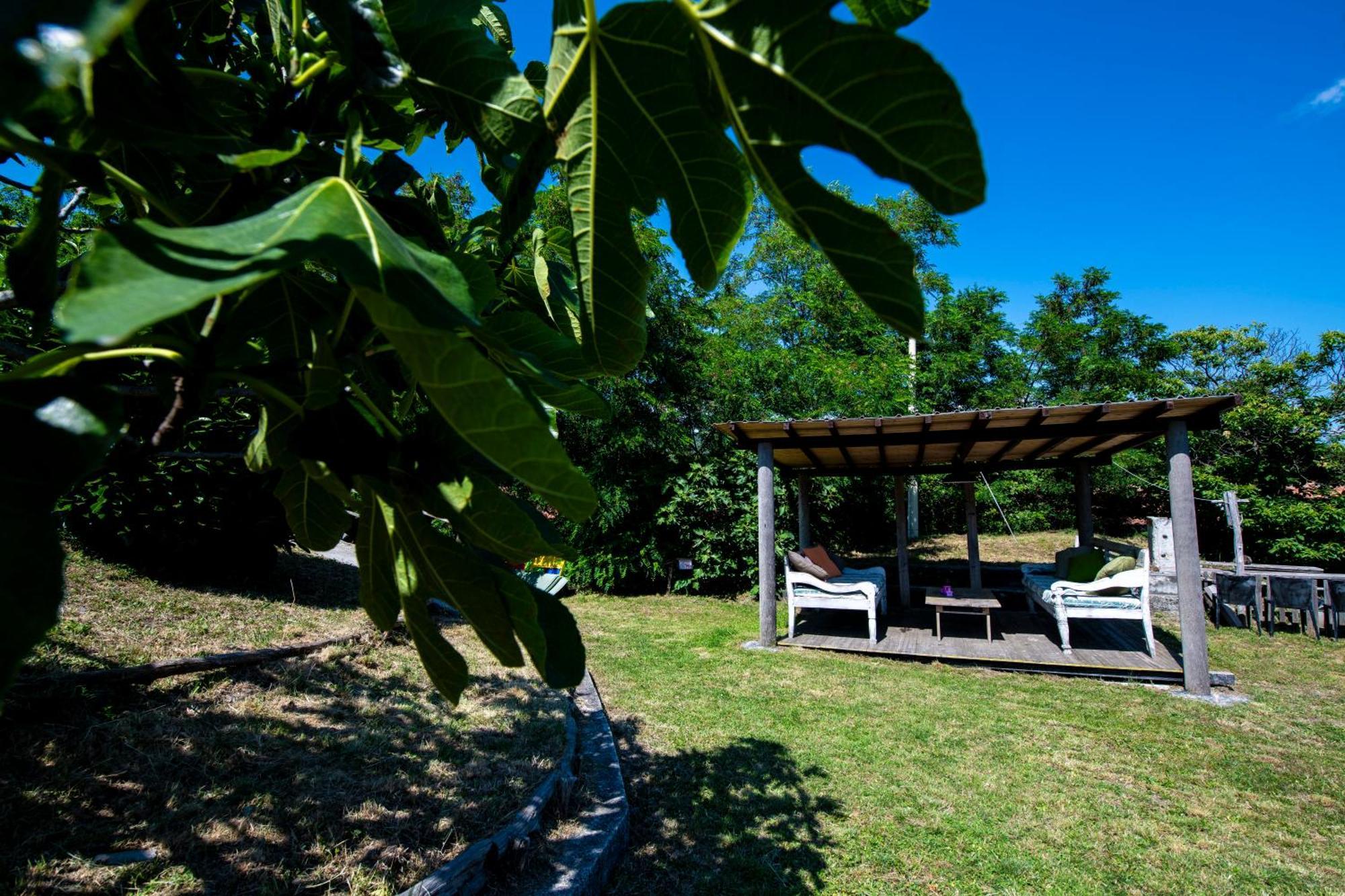 211 - Appartamento Acacia, Terrazza Giardino E Piscina Carro Exterior photo