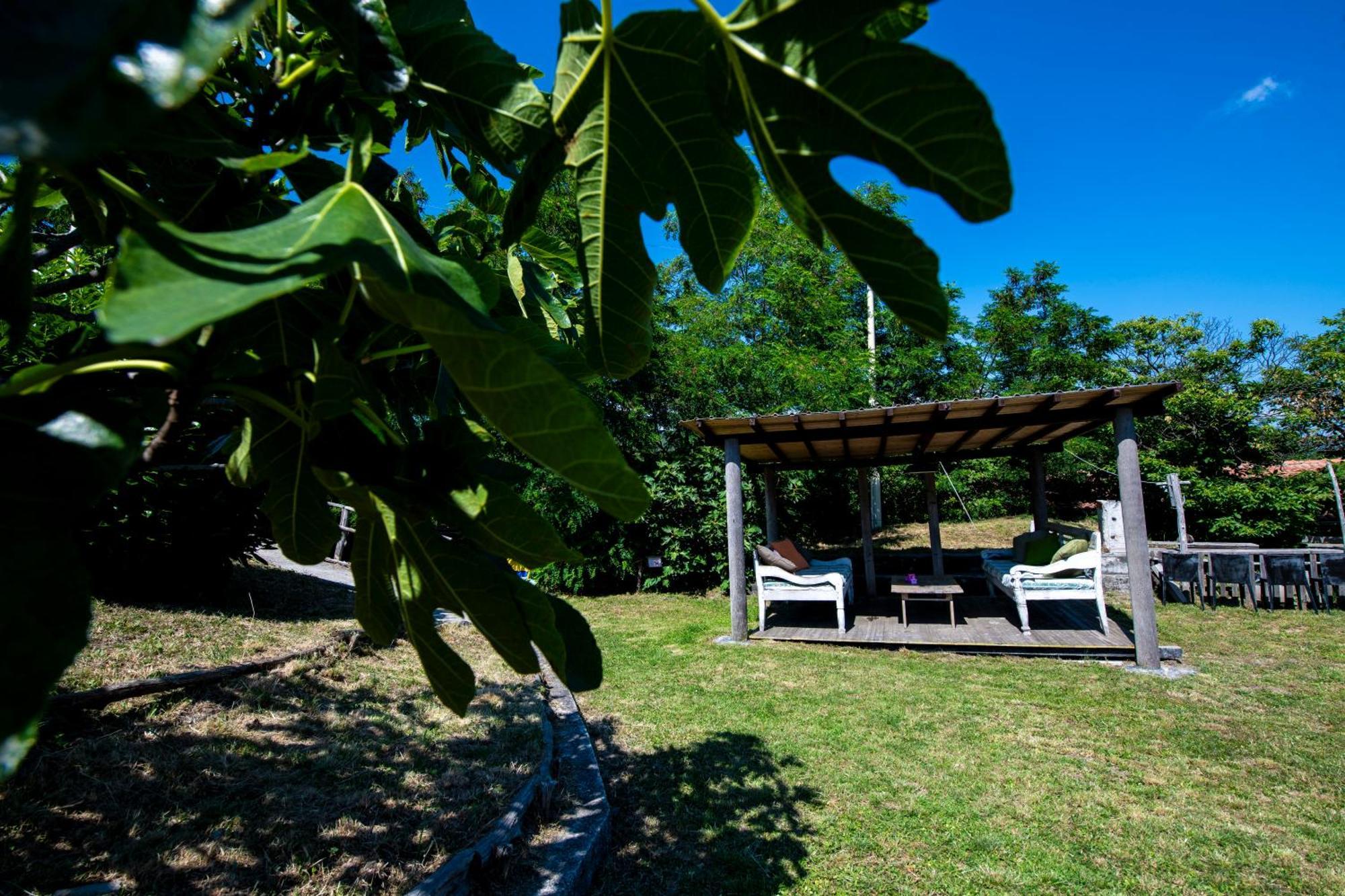 211 - Appartamento Acacia, Terrazza Giardino E Piscina Carro Exterior photo